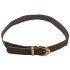 Сірий ремінь-гумка із закругленою золотистою пряжкою Anna Pepe AP 7661
